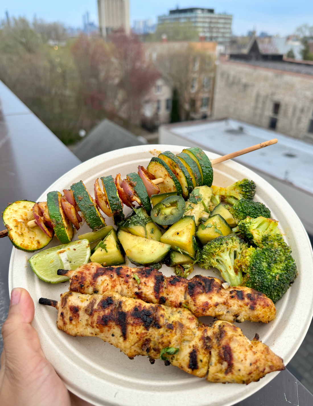 Grilled Chicken & Veggie Kebabs