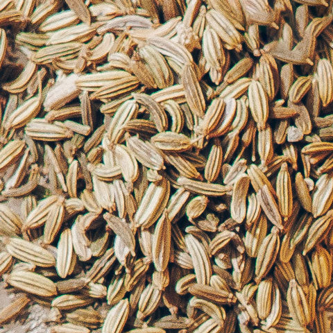 Droosh Ingredients Fennel Seeds